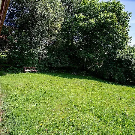 Sonnenschein